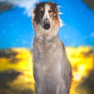 Meet your Posher, Veronika